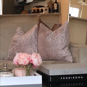 2 west elm pillows